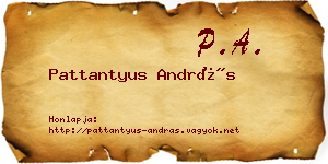 Pattantyus András névjegykártya